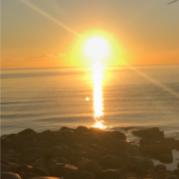 Meet your Posher, Elizabeth - Picture 1 of 1